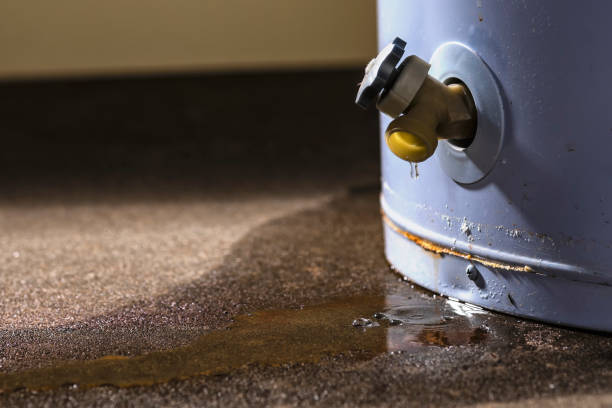 Best Mold removal after water damage  in Edwardsburg, MI