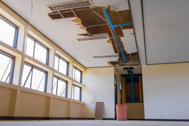 Best Water damage cleanup near me  in Edwardsburg, MI