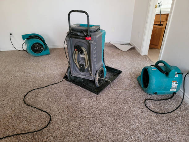 Best Mold removal after water damage  in Edwardsburg, MI