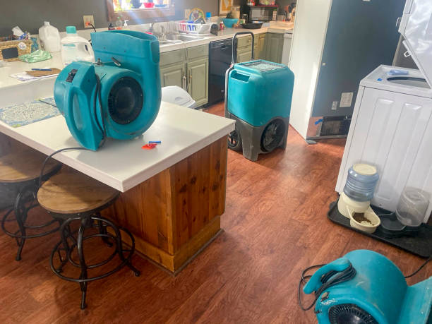 Best Flooded house restoration  in Edwardsburg, MI