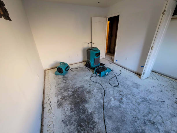 Local water damage restoration in Edwardsburg, MI