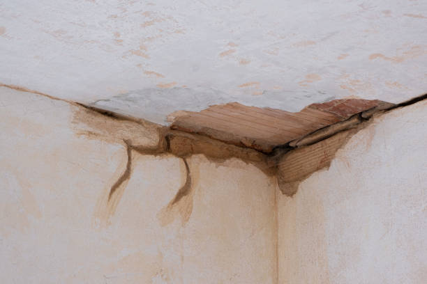 Best Water damage restoration company  in Edwardsburg, MI