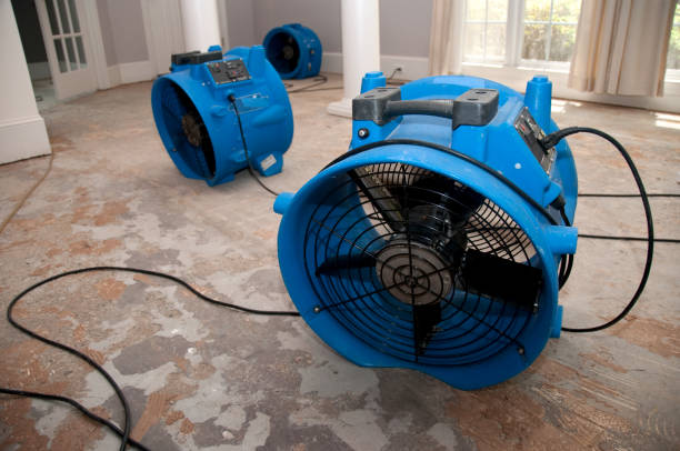 Best 24-hour water damage restoration  in Edwardsburg, MI