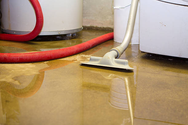 Best Water damage restoration process  in Edwardsburg, MI